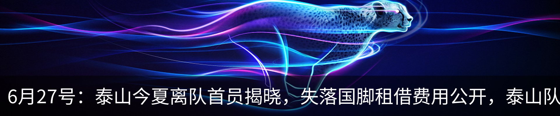 资讯动态